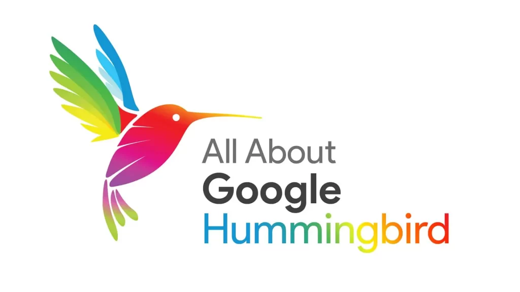 What You Should Know About The Hummingbird Algorithm