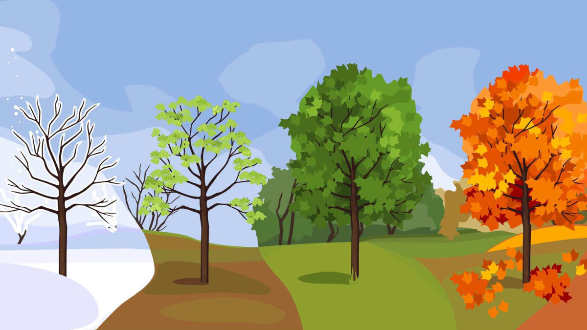 Seasonal content designed for holidays and special events